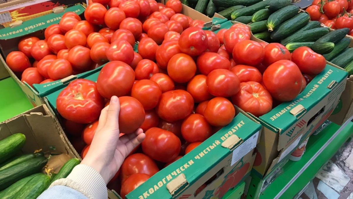 Гнилые помидоры — сокровище для сада и кухни: 4 неожиданных способа их использовать