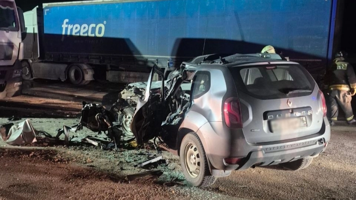 Смертельное ДТП на М-8 и строительство моста: главные новости за 22 марта