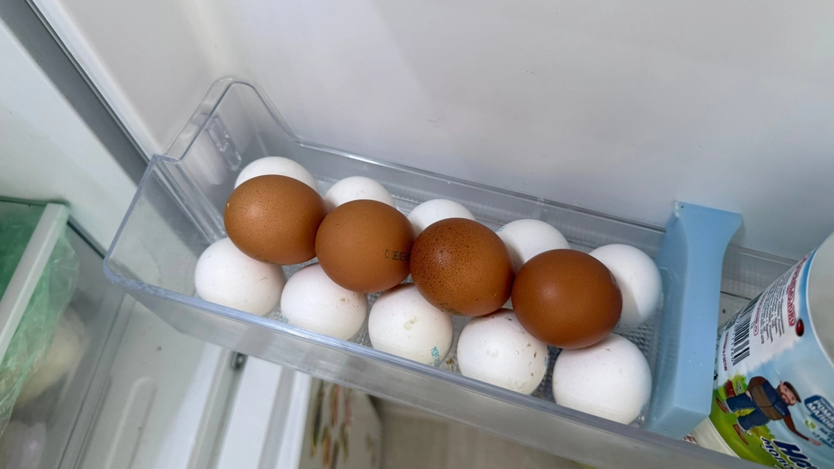 Ошибка миллионов: где на самом деле нужно хранить яйца — вы удивитесь