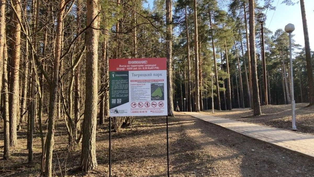 В Ярославле разыграют право катать туристов на лошадях в Тверицком бору