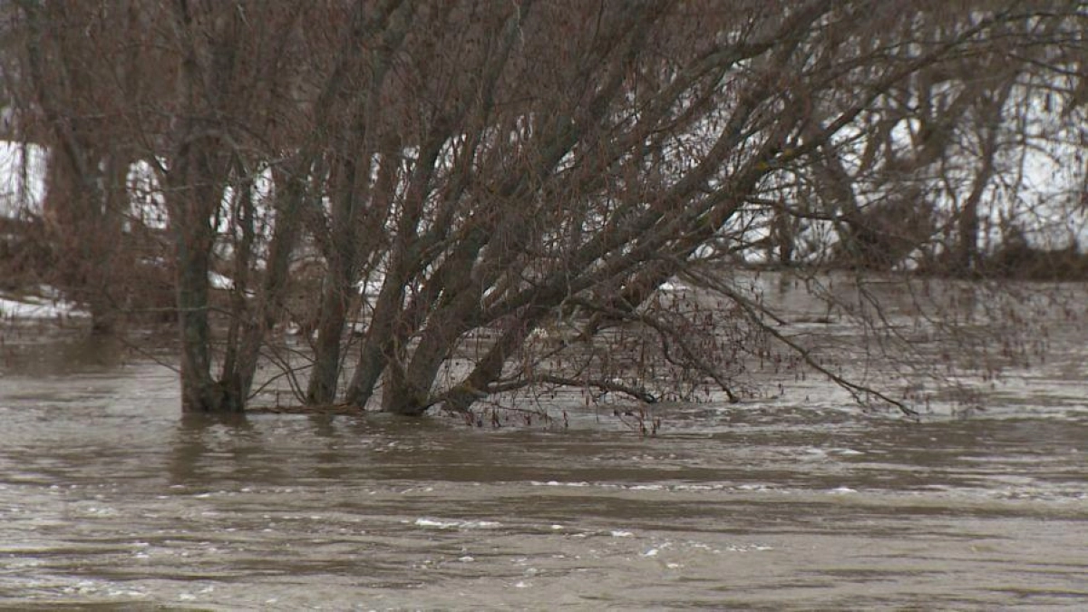 ЖКХ Ярославской области перешло на круглосуточный режим работы из-за паводка