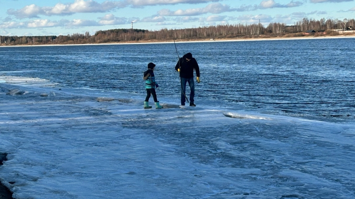  Ярославские ученые обнаружили в Волге 10 новых видов рыб