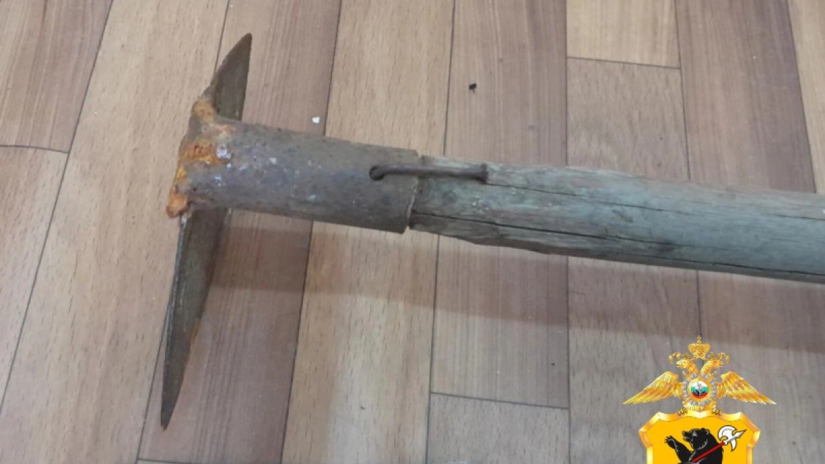 Выпивка, ссора и садовая тяпка: как простой вечер в Ярославской области превратился в уголовное дело