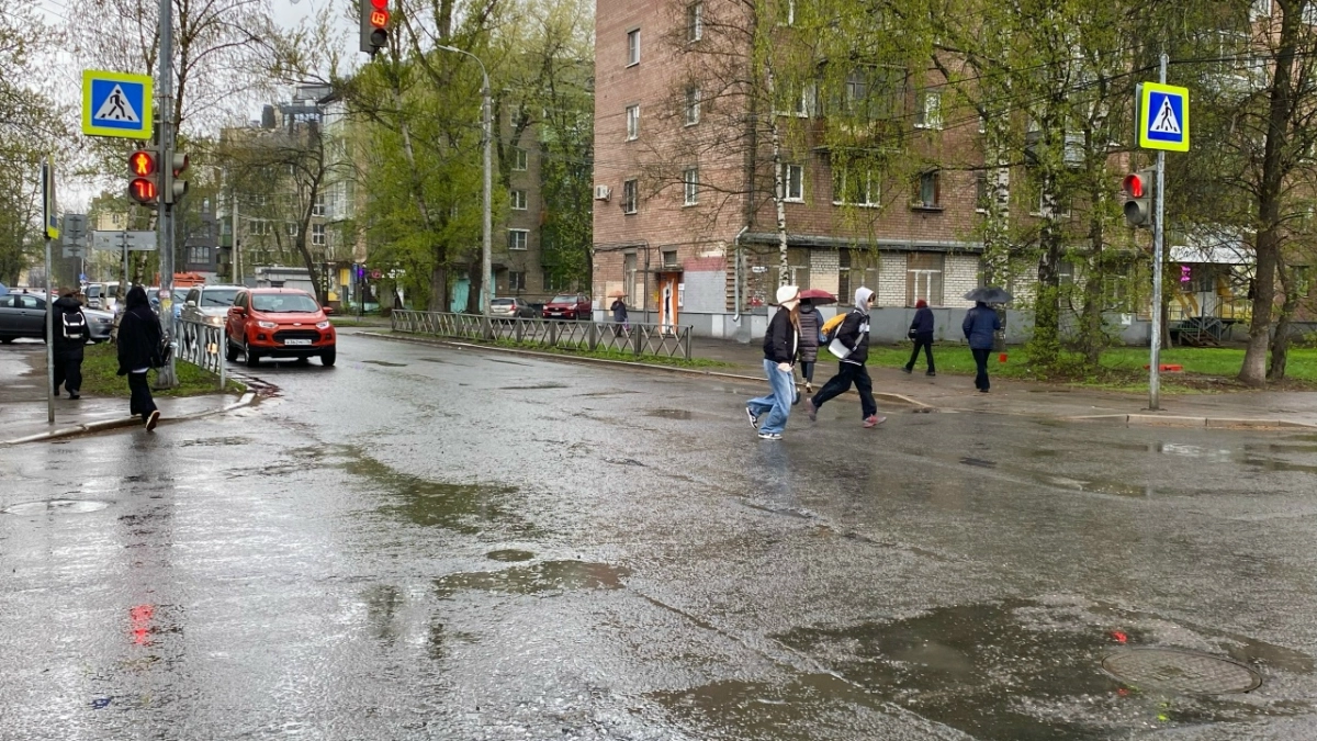 В Ярославскую область в конце недели вернутся дожди