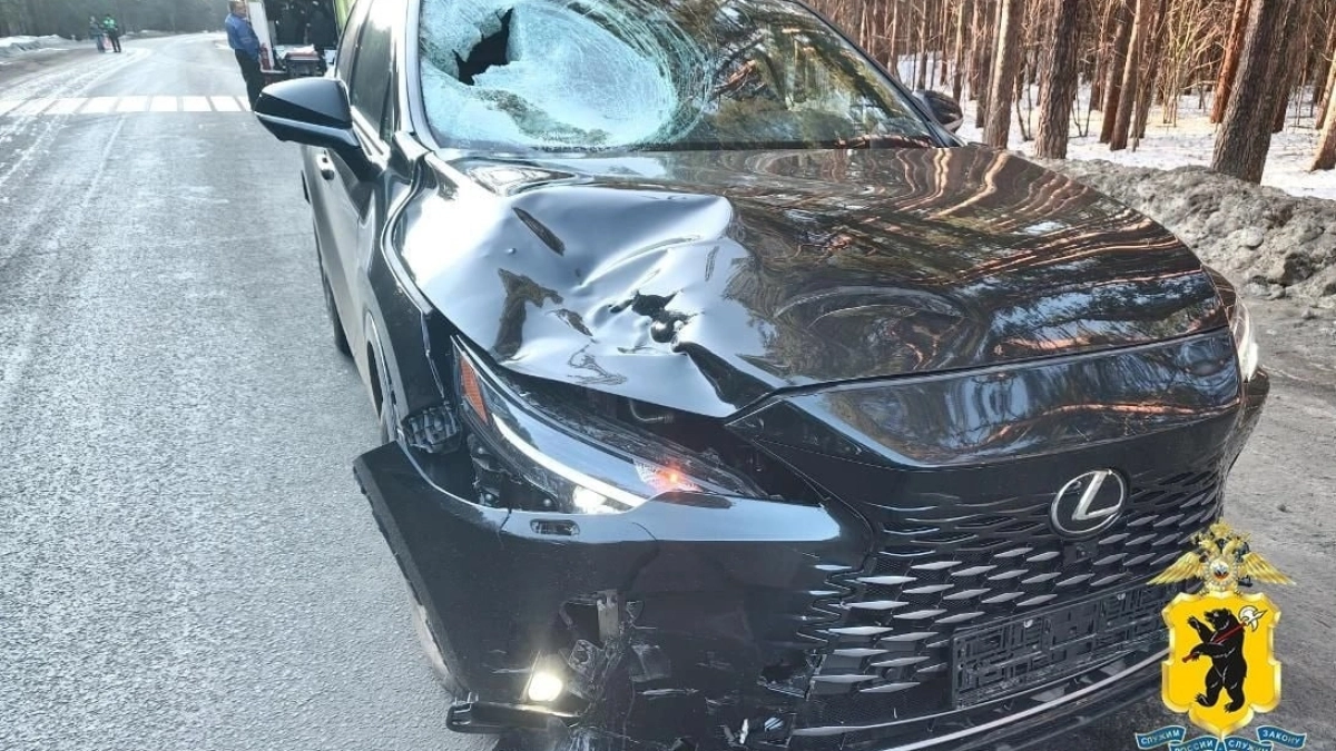 В Ярославском районе "Лексус" сбил пенсионера-велосепидиста