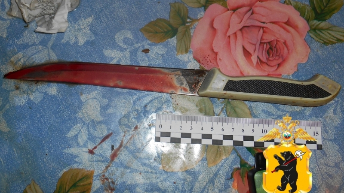 Ночной ужас в Рыбинске — девушка набросилась с ножом на своего собутыльника