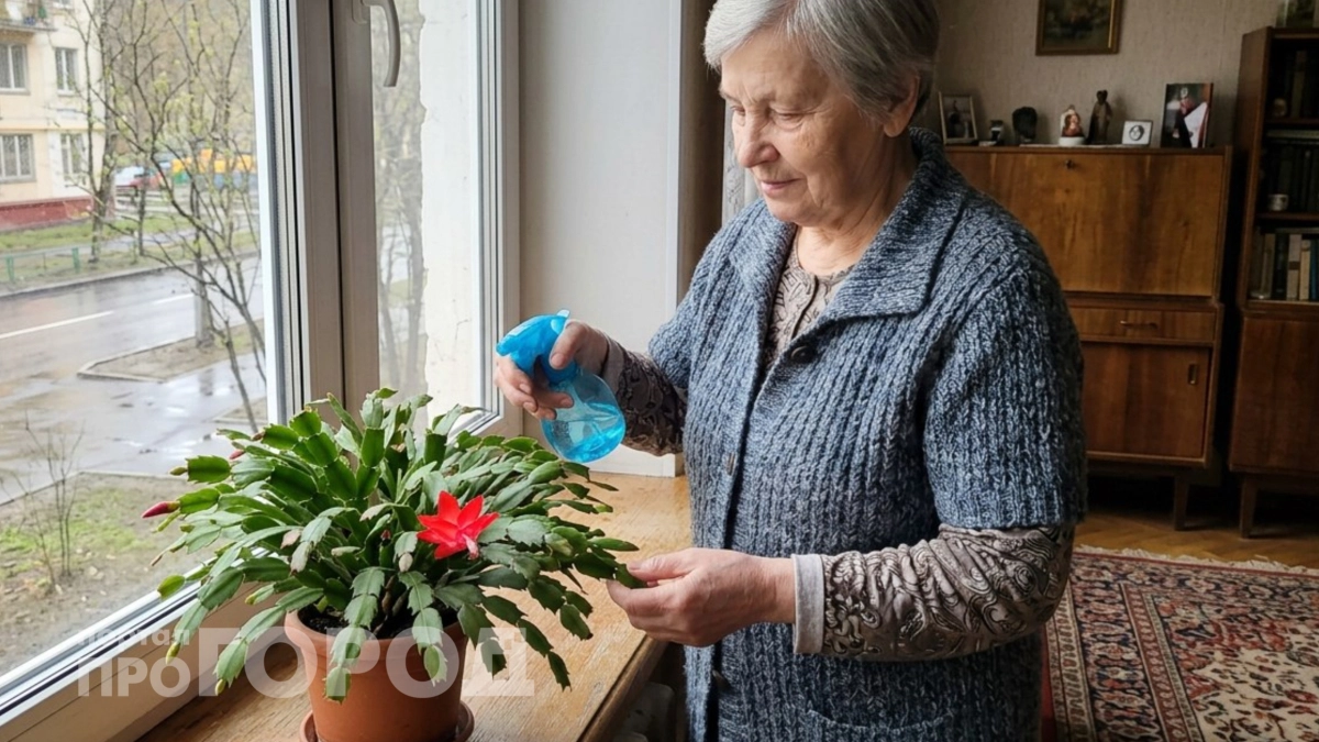 Пенсии повысят автоматически: ждите прибавку уже в августе 2026