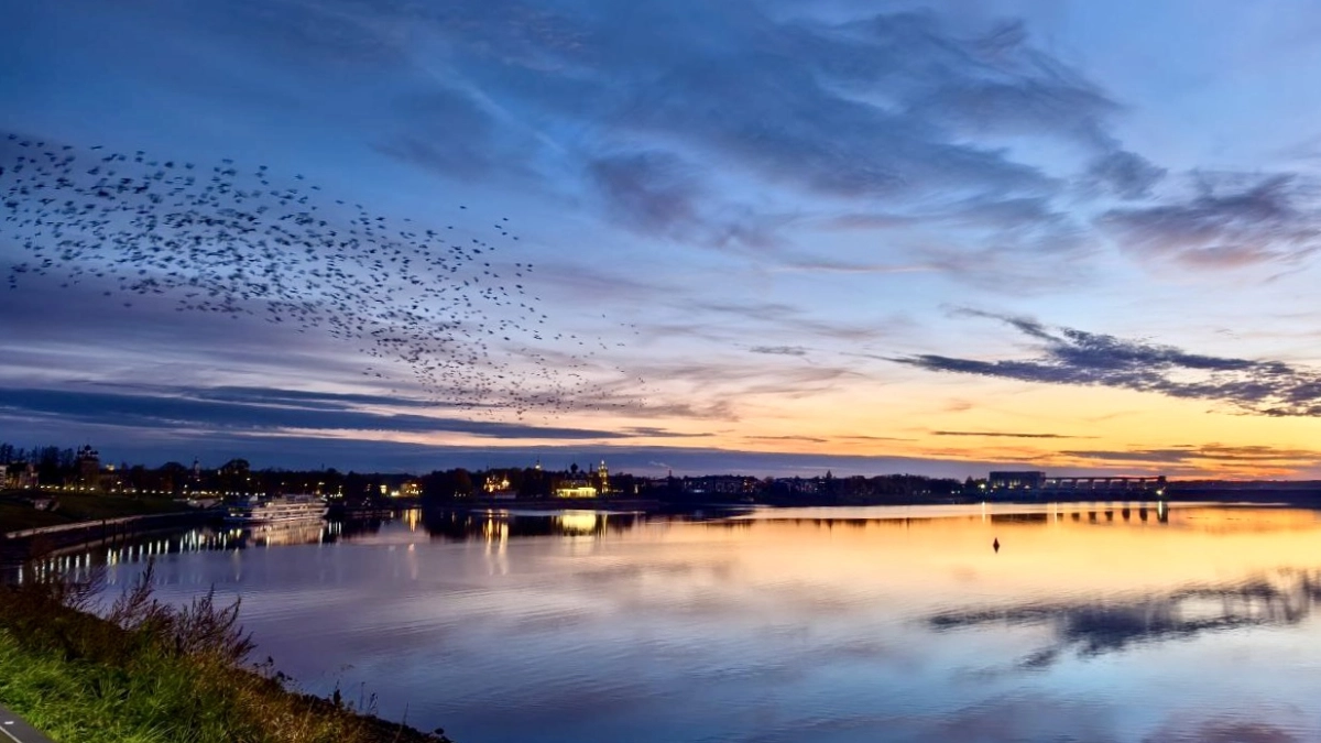 В исторических места Угличского района усилили мобильный интернет в 4 раза