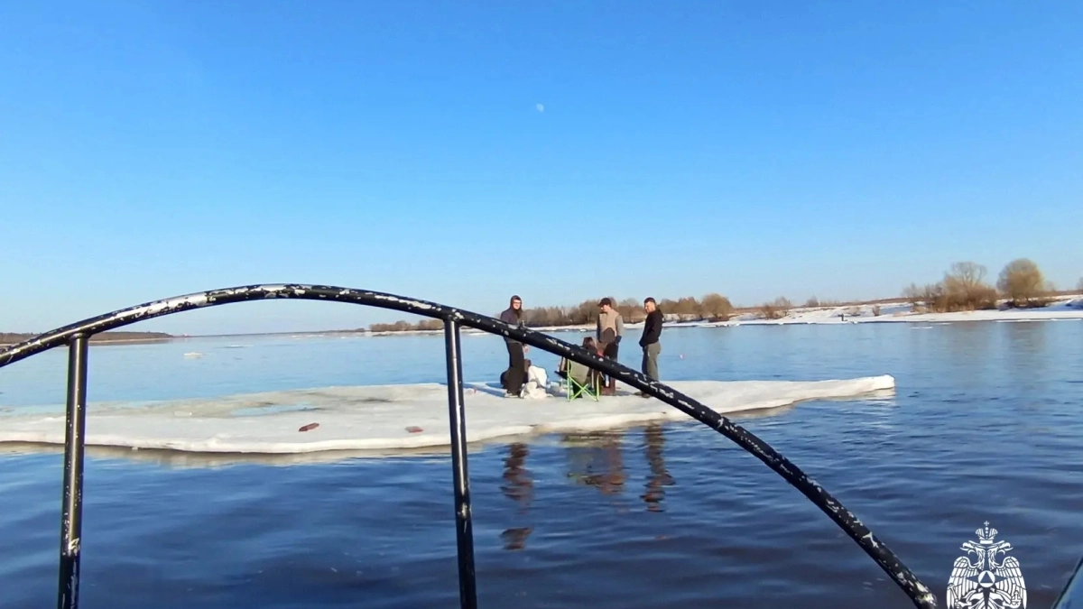 Одна девушка и трое мужчин устроили на Волге пикник, который чуть не закончился трагедией