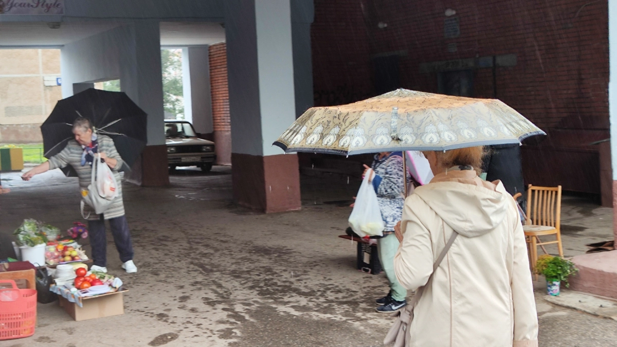 Черемуховые холода ударят по Центральной России: снег может выпасть даже в мае — прогноз синоптиков