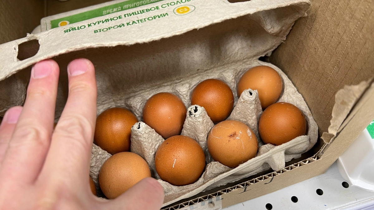 Вы покупаете испорченные яйца и даже не догадываетесь: проверьте их положение в лотке