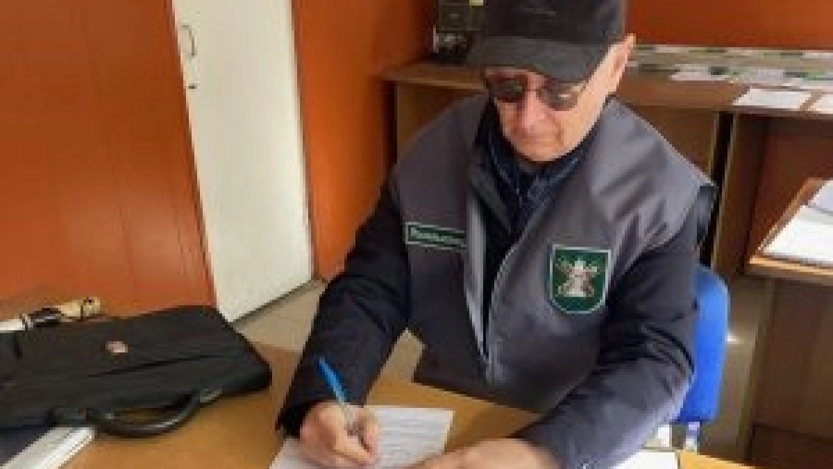 Он повез 30 телят без документов: чем закончилась проверка на трассе Переславль – Ульяновск