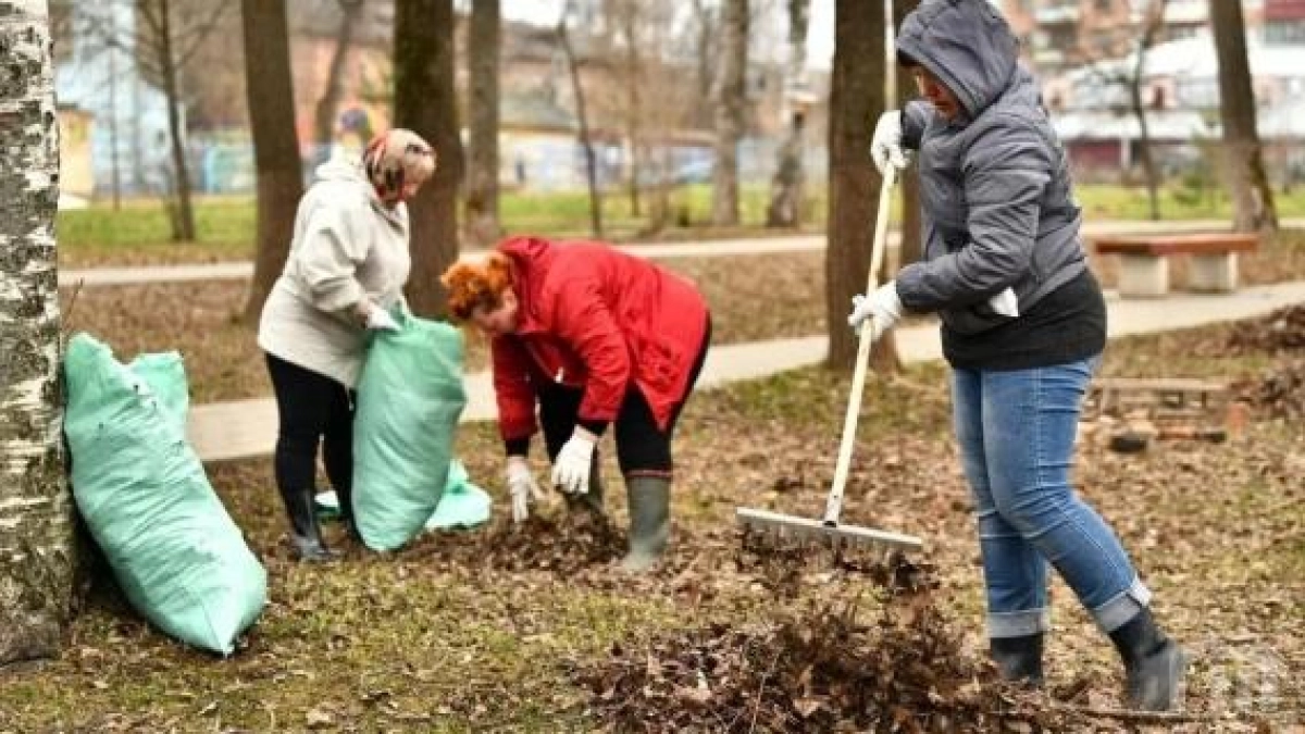 Ярославская область выходит на субботник 4 апреля: губернатор призвал всех неравнодушных