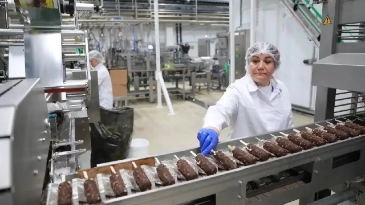 Пищевая промышленность Ярославской области выросла до 106,6% — мороженое и мука в лидерах
