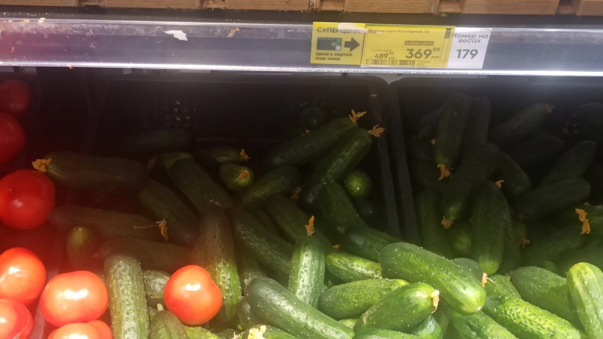 Этот способ сохраняет свежесть огурцов на 20 дней: как хранить в холодильнике