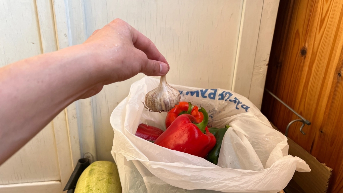 Чеснок не сохнет и не гниёт годами: раскрываю метод, который работает на 100 %