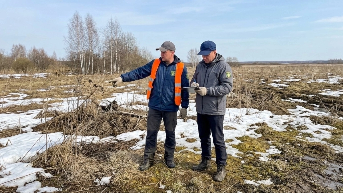 В Ярославской области нашли сотни гектаров "брошенной" земли — владельцам грозит штраф
