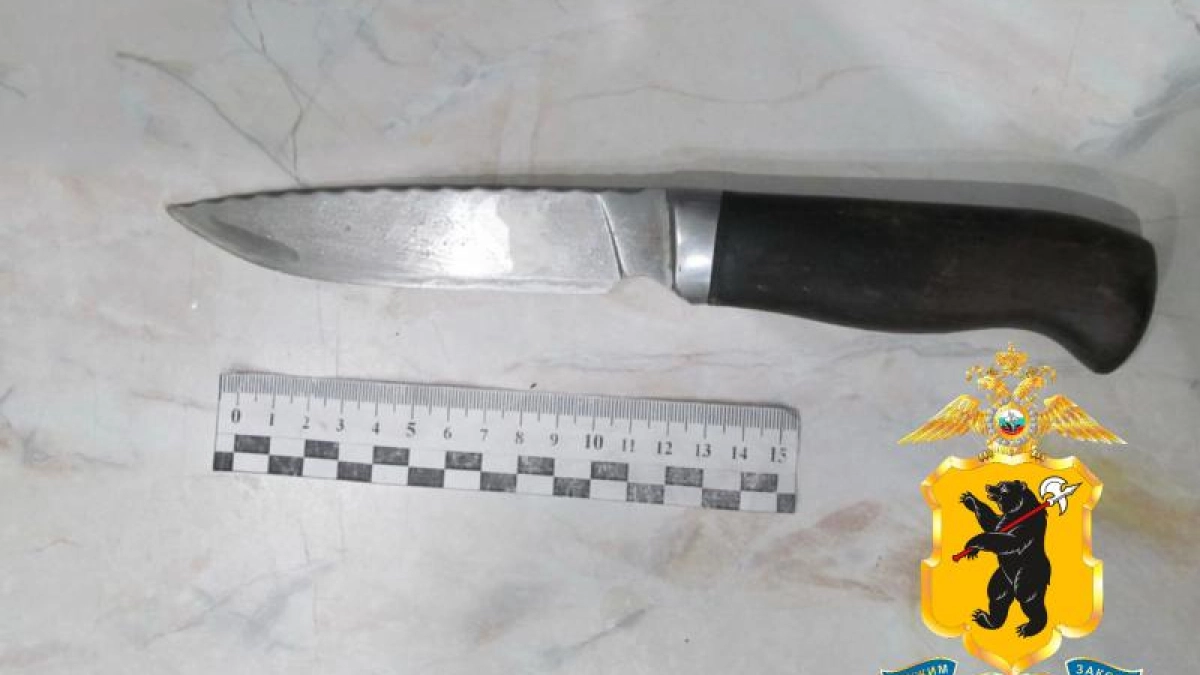 Кровавая ссора в Рыбинске: пенсионер по пьяни зарезал 45-летнюю сожительницу женщину и сдался полиции