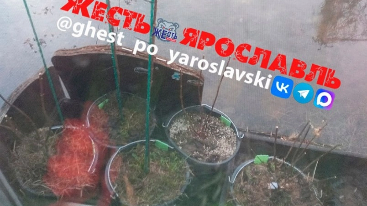 Ярославская улица превратилась в Венецию