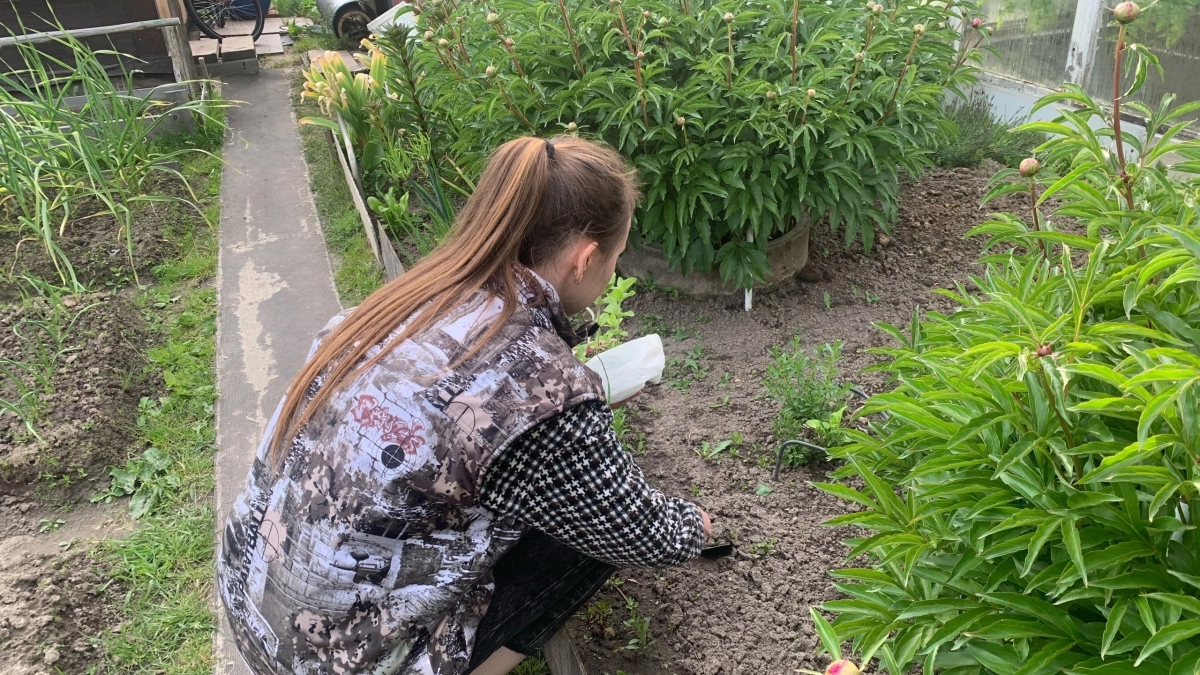 Раскидайте этот копеечный сидерат по огороду в апреле: земля плодородная как после 5 тонн навоза