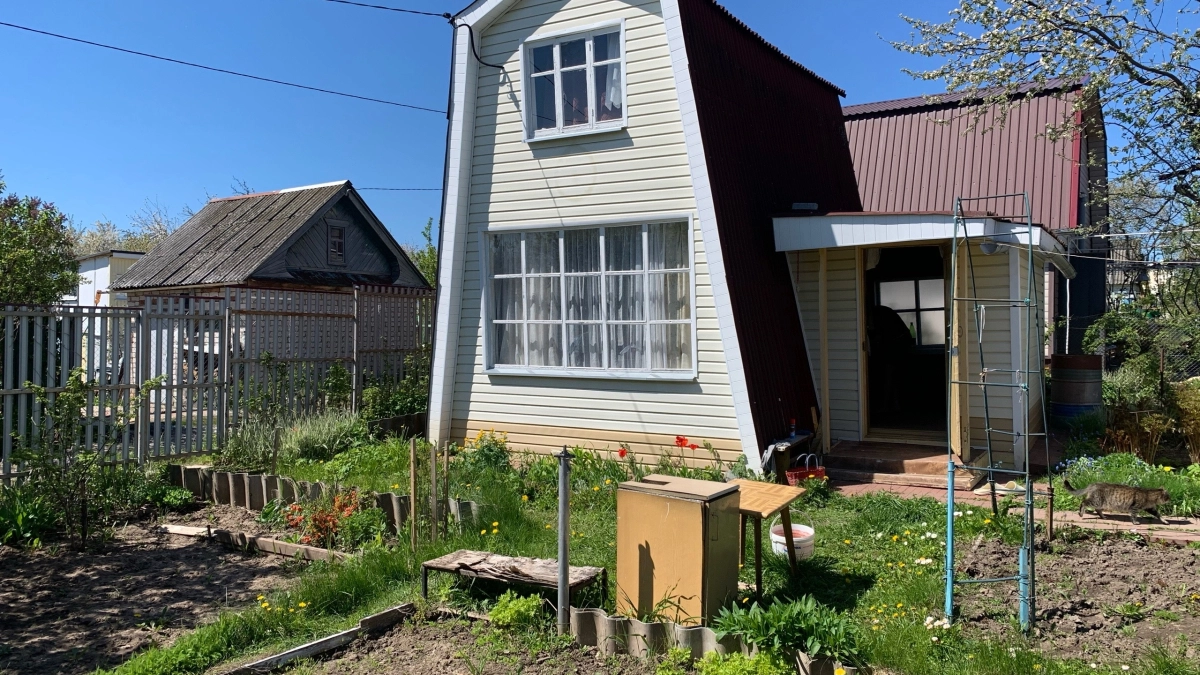 Шторы на даче — полный колхоз: почему дачники массово отказываются от классики — что выбирают и почему