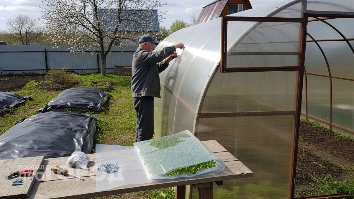 Забыла про поликарбонат: нашла доступную альтернативу для теплицы которая не мутнеет и выдержит любые морозы