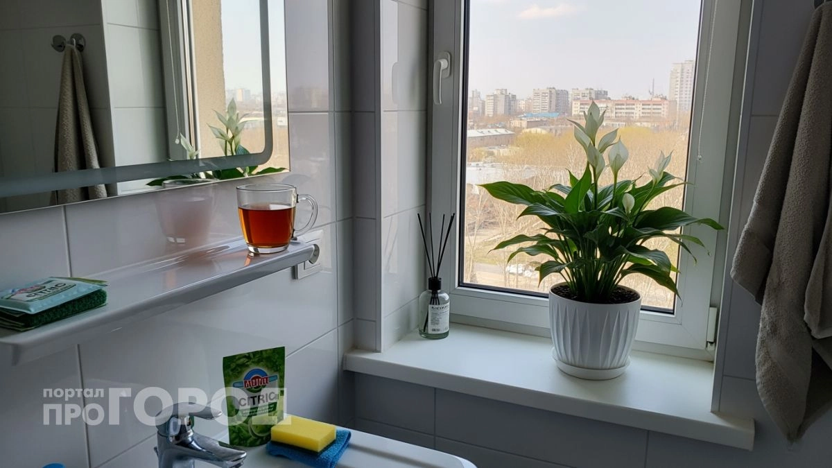 Мочевой камень исчез без следа: просто залила это средство в унитаз и через пять минут смыла всю грязь