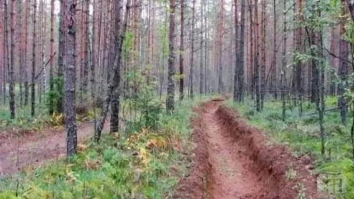 Ярославская область вводит режим пожарной безопасности: 500 единиц техники наготове