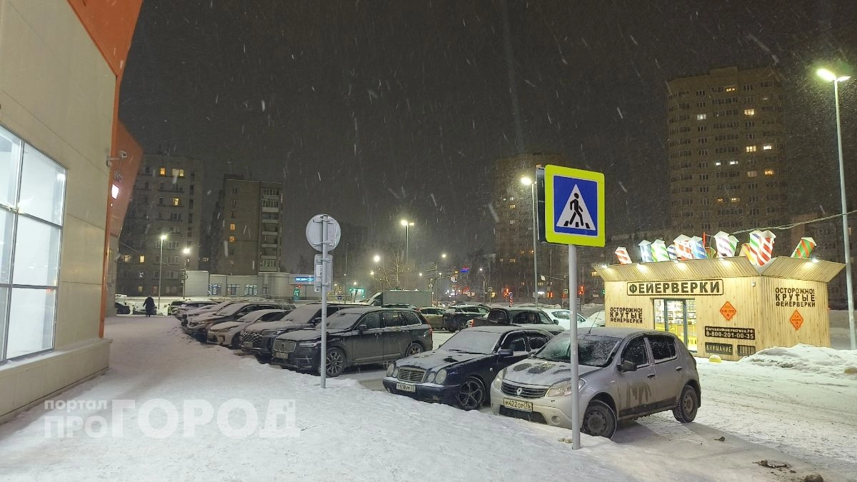 В середине недели в Ярославле выпадет снег 