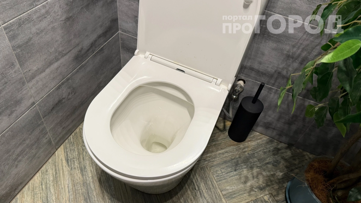 Больше не стыдно пустить гостей в туалет: 5 способов вернуть белизну унитазу без химии — номер 3 вас удивит