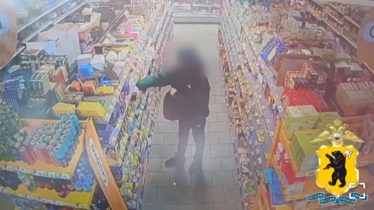 В Ярославле поймали серийного магазинного вора