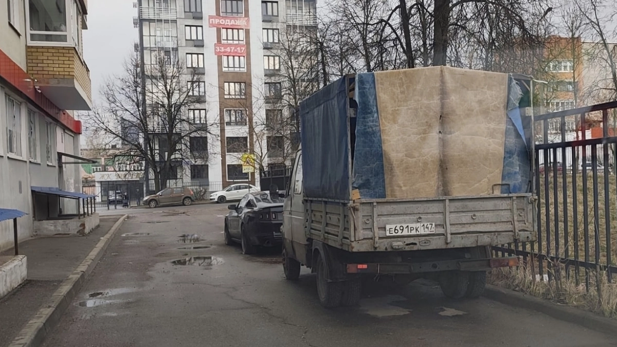 В Ярославле свиней держат в кузове грузовика: «Смрад на всю парковку»