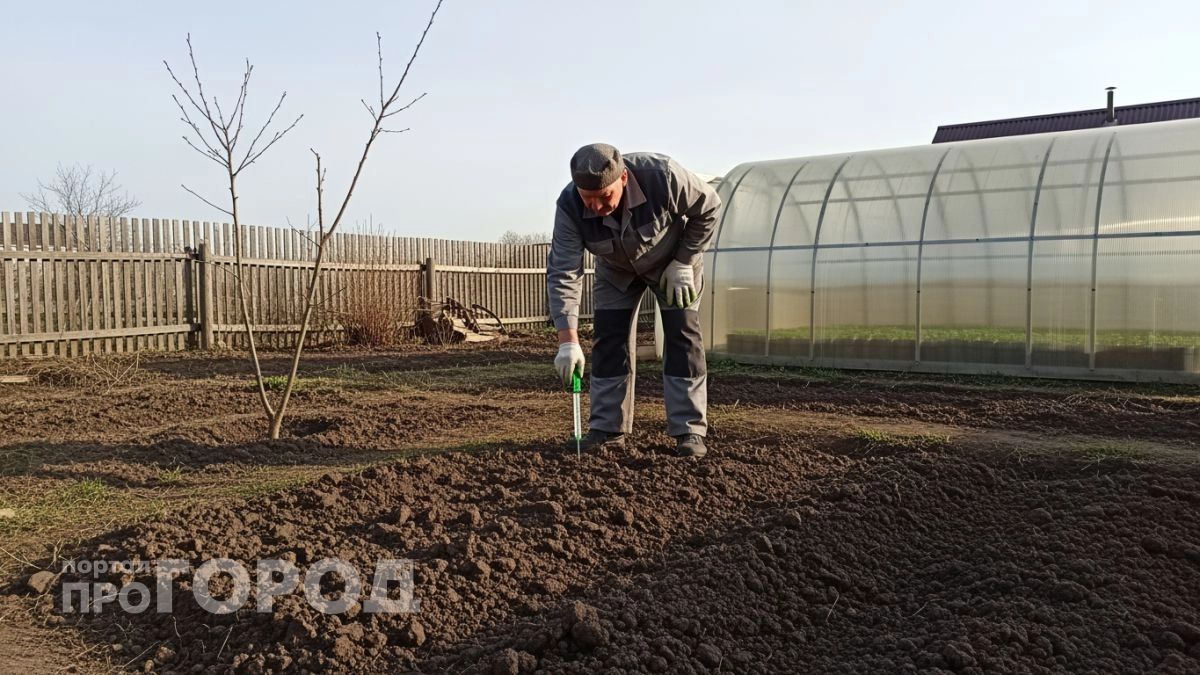 Сажайте картошку в эти дни 2026 года: простая хитрость поможет собрать вдвое больше клубней с каждой грядки