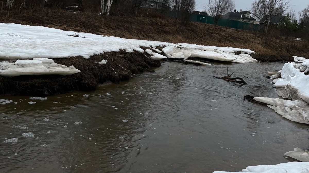 Активисты с вилами вышли на нерест: что творится на реках Устье и Векса под Ярославлем