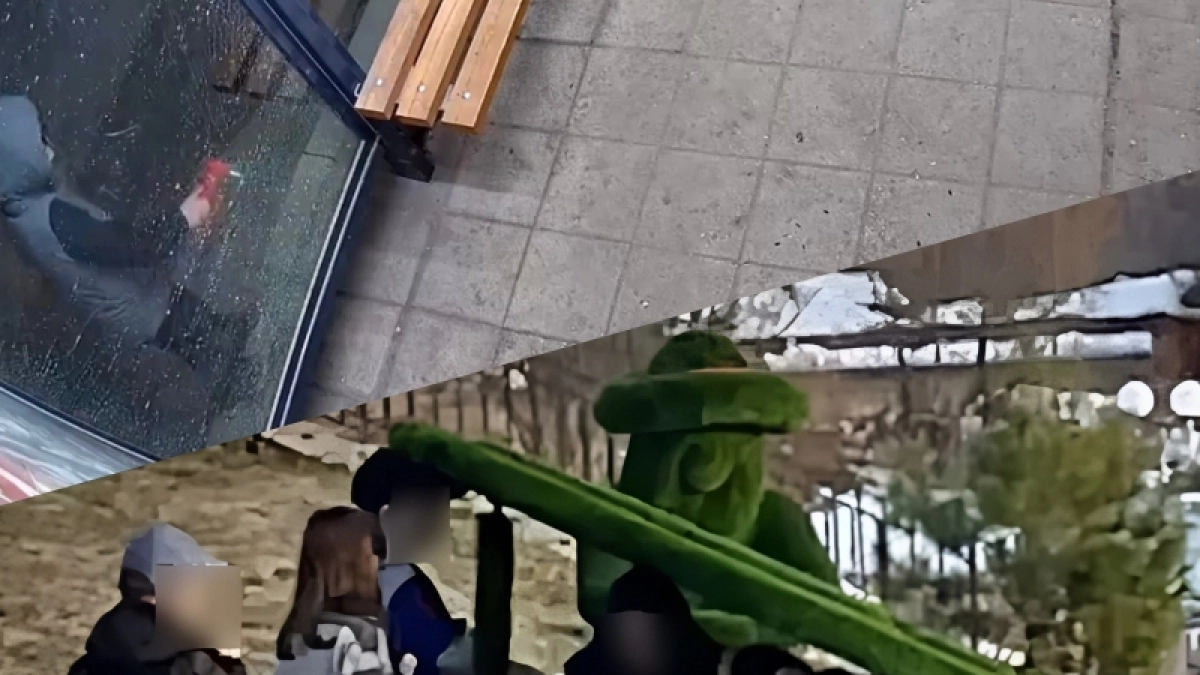 Разбили стекло, залезли в рояль: раскрываются подробности резонансных выходок школьников в двух районах Ярославской области