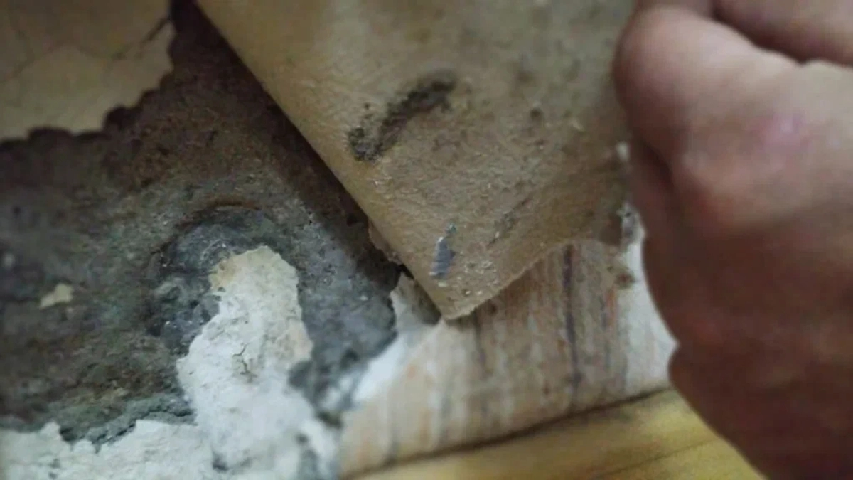 Квартира по закону, болезни в нагрузку: как сироте в Ярославле выдали жильё с разрушающимися стенами