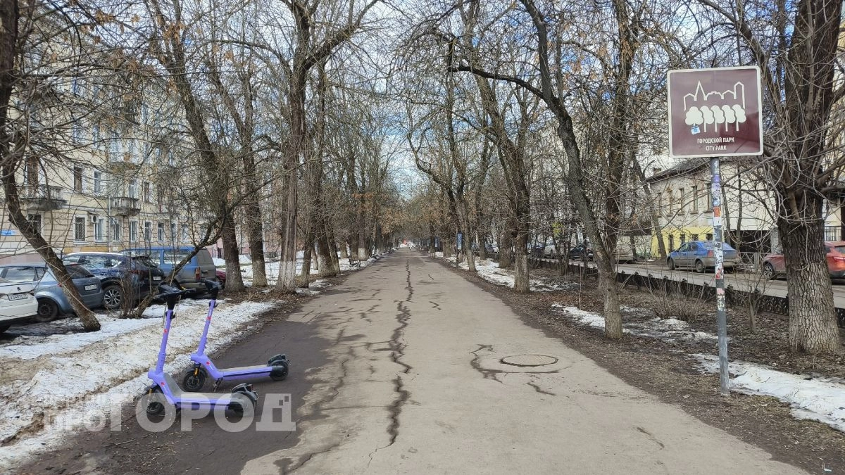 Скрытые скверы центра: как выглядят малоизвестные зелёные точки Ярославля сегодня