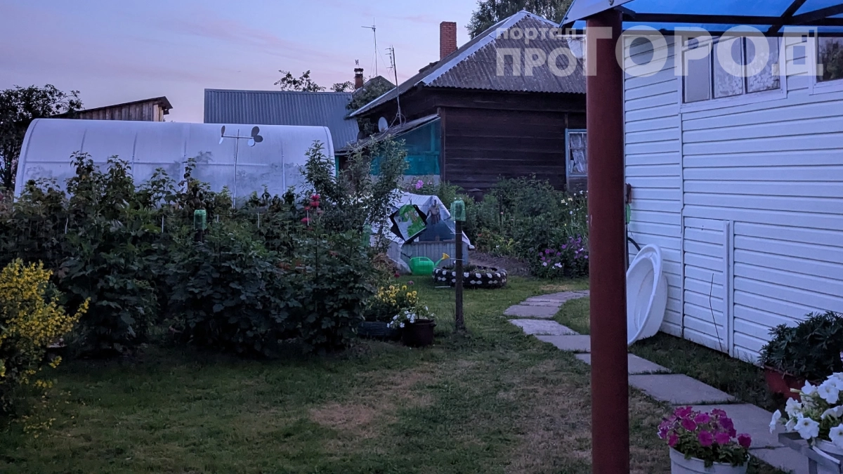 Плешивый газон — это полный колхоз: все переходят на другую траву — настоящая находка для ленивых садоводов