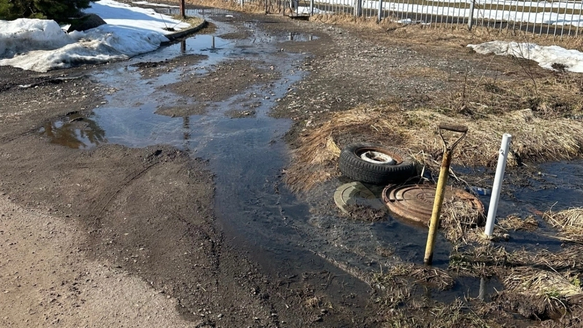  Ярославский поселок Дубки  заливает нечистотами