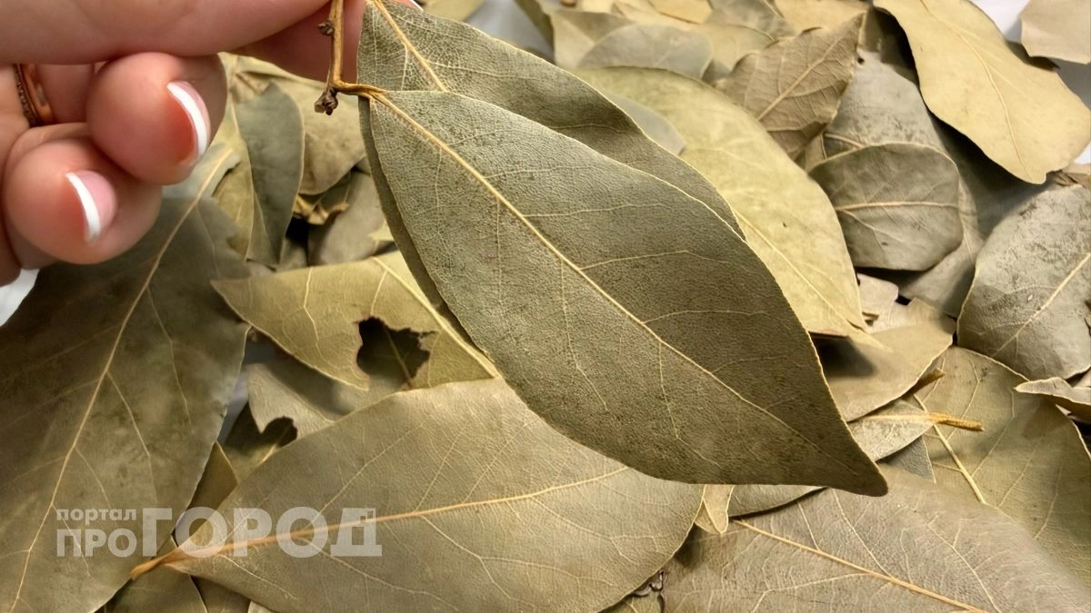 Один стакан отвара лаврового листа перед сном: уснете за 5 минут