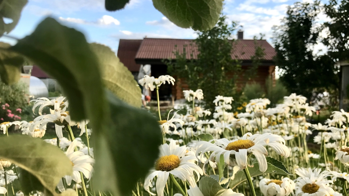 МТС усилила связь для более чем 3000 дачников в Ярославской области