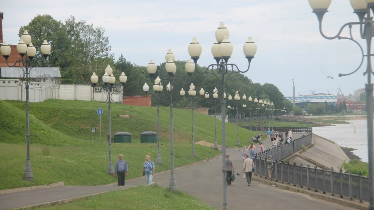     В Рыбинске из-за кота установлен карантин по бешенству 