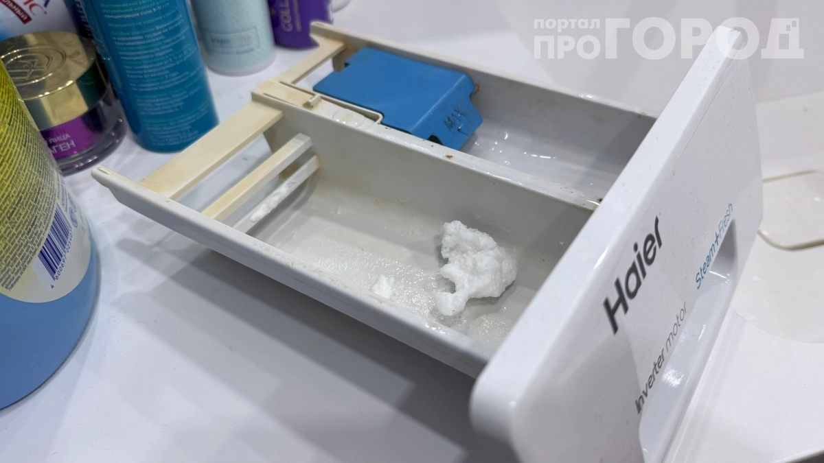 10 лет сыпал не туда: мастер рассказал, куда класть порошок в стиралку, чтобы сэкономить 5000 на ремонте — об этом молчат