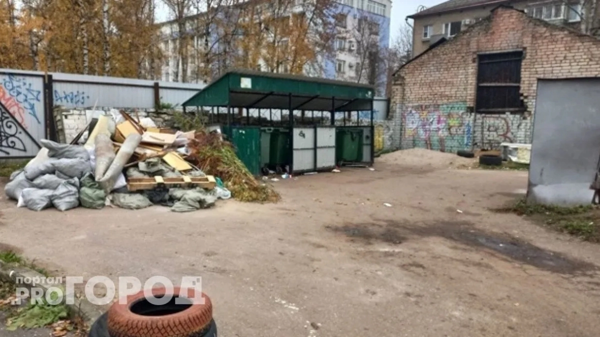 Росприроднадзор выявил 76 незаконных свалок в Ярославской области