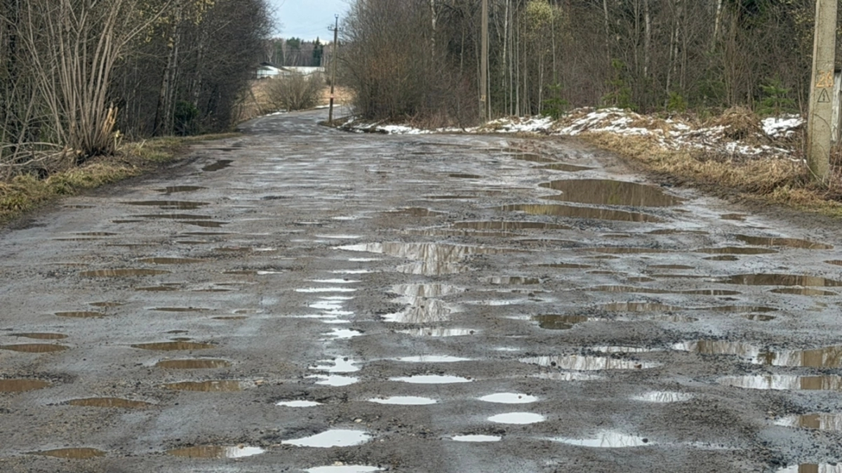 Дорога за 40 миллионов снова тает: ярославцы записывают новое обращение