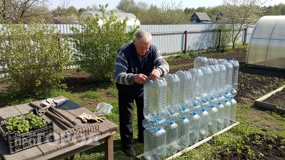 Забудьте про дорогой поликарбонат: теплица из бутылок служит годами и требует минимум усилий при сборке