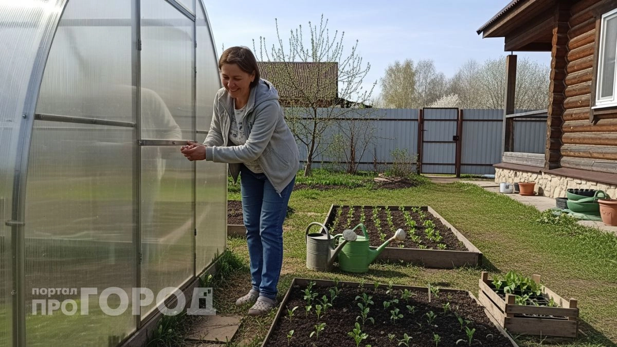Забудьте про хрупкий поликарбонат: эта замена служит десятилетиями и не требует ни чистки, ни сложного ухода