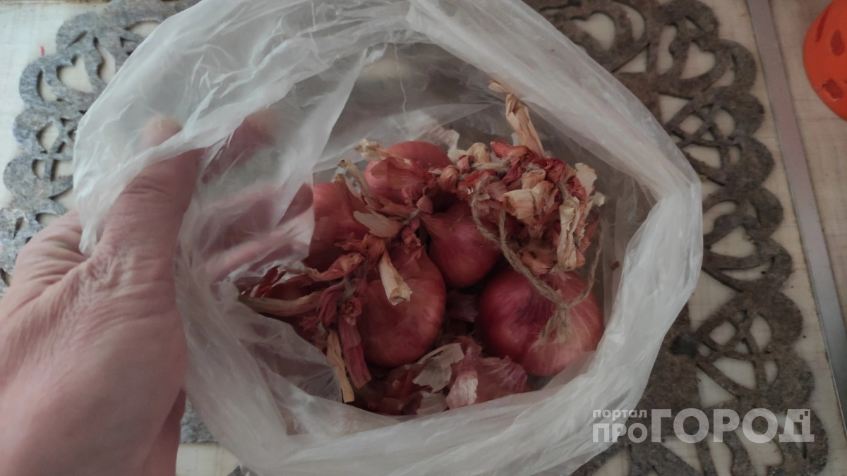 Луковую шелуху берегу как зеницу ока: кладу в лунку при посадке томатов + 2 средства - перья прут высокие и сочные