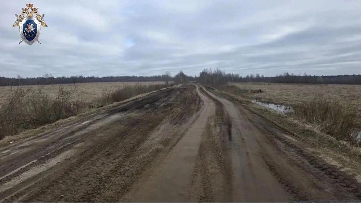 В Ярославской области завели дело о халатности из-за разбитой дороги Улейма — Нефедьево