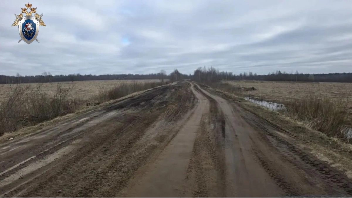 Власти объяснили плохую дорогу в Угличском районе таянием снегов и грузовиками